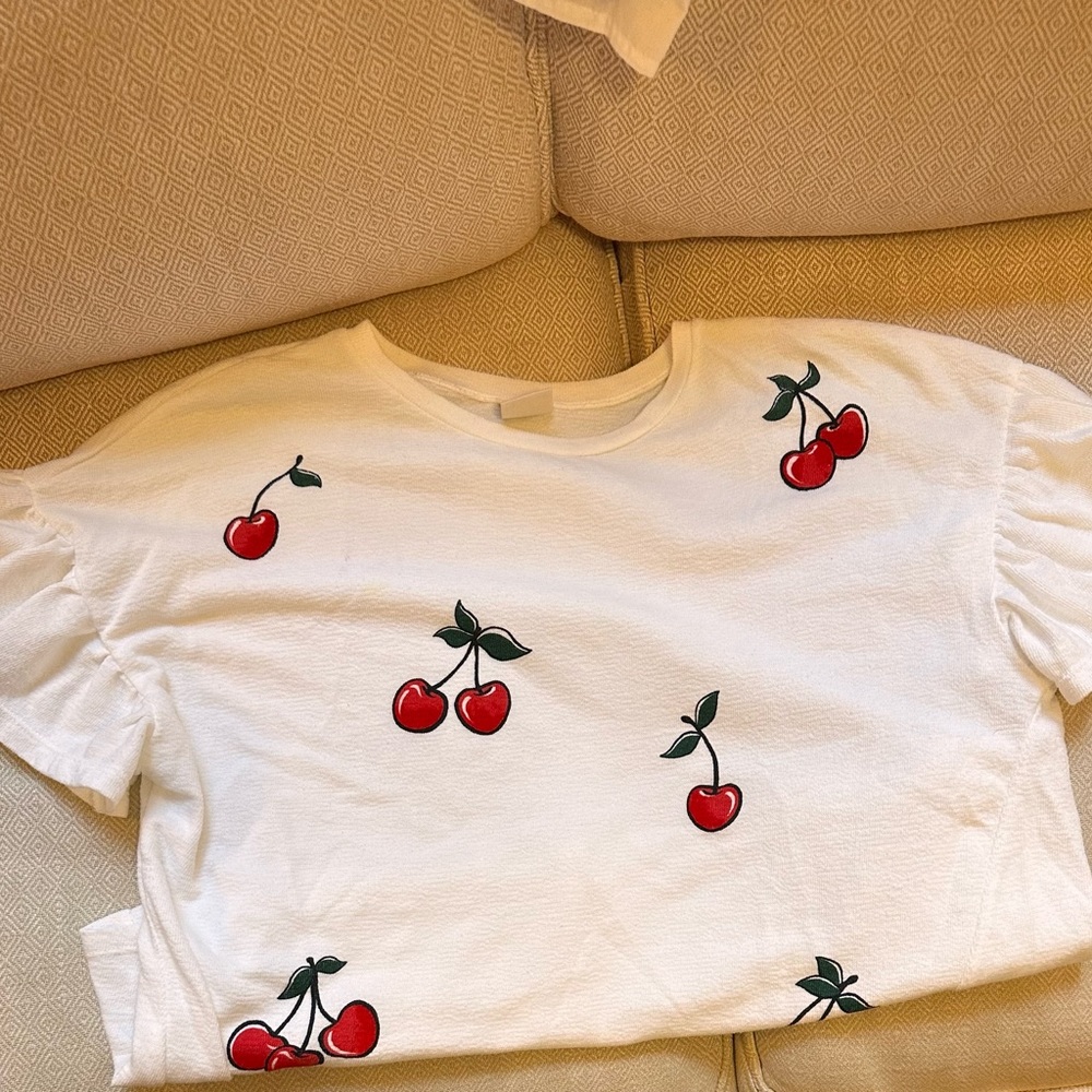 Zara cherry top